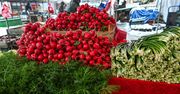 Najlepsza wiosną. Odtruwa wątrobę, zabija komórki raka