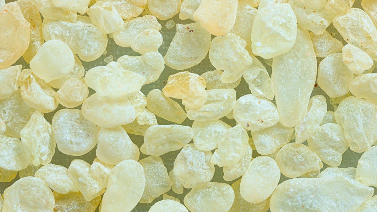 Mastiha, czyli „złote łzy” - grecki skarb w kuchni