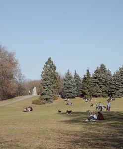 Warszawa. Modernizacja Pola Mokotowskiego. Ogłoszono przetarg