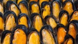 Warto je jeść, ale nie wszędzie i nie zawsze. Mule i ich ciemna strona, o której mało kto mówi