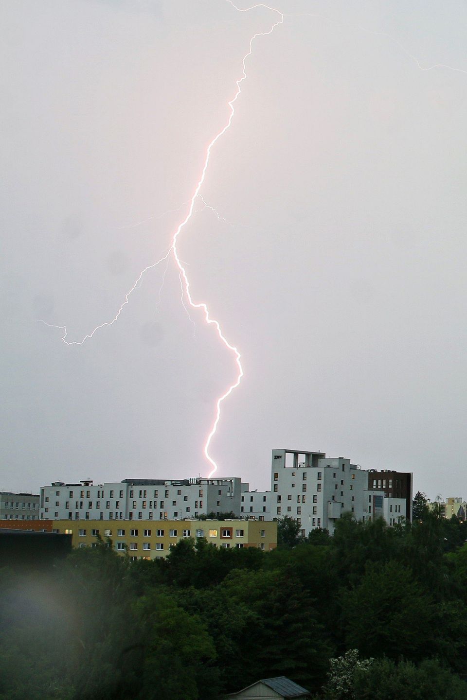 Wirtualna Polska