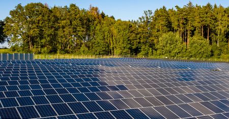 Lasy Państwowe stawiają na fotowoltaikę. W planach aż 200 MW