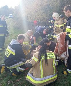 Przez 5 dni bez jedzenia i picia przetrwał w lesie. Policja przekazała smutne wieści