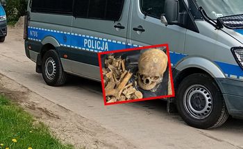 Przerażające znalezisko na budowie. Kości wyłoniły się spod ziemi