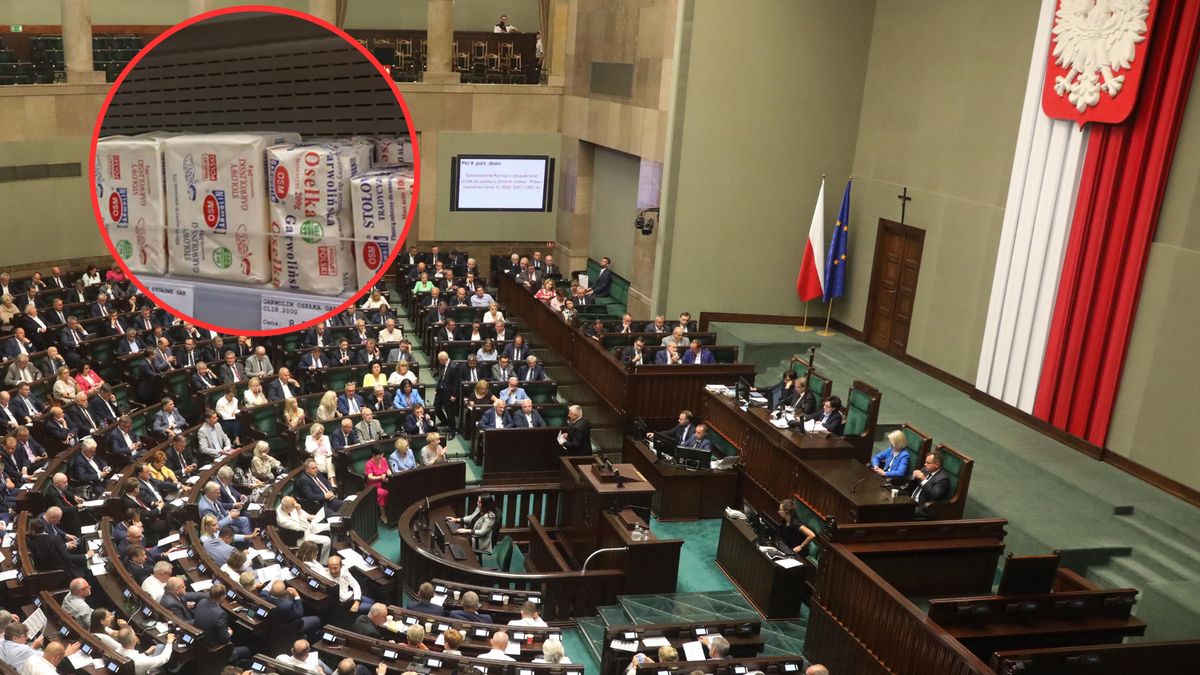 Sprawdziliśmy ceny na Wiejskiej