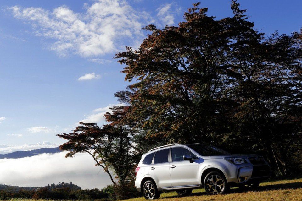 Nowe Subaru Forester (2013) - obszerna galeria zdjęć 7