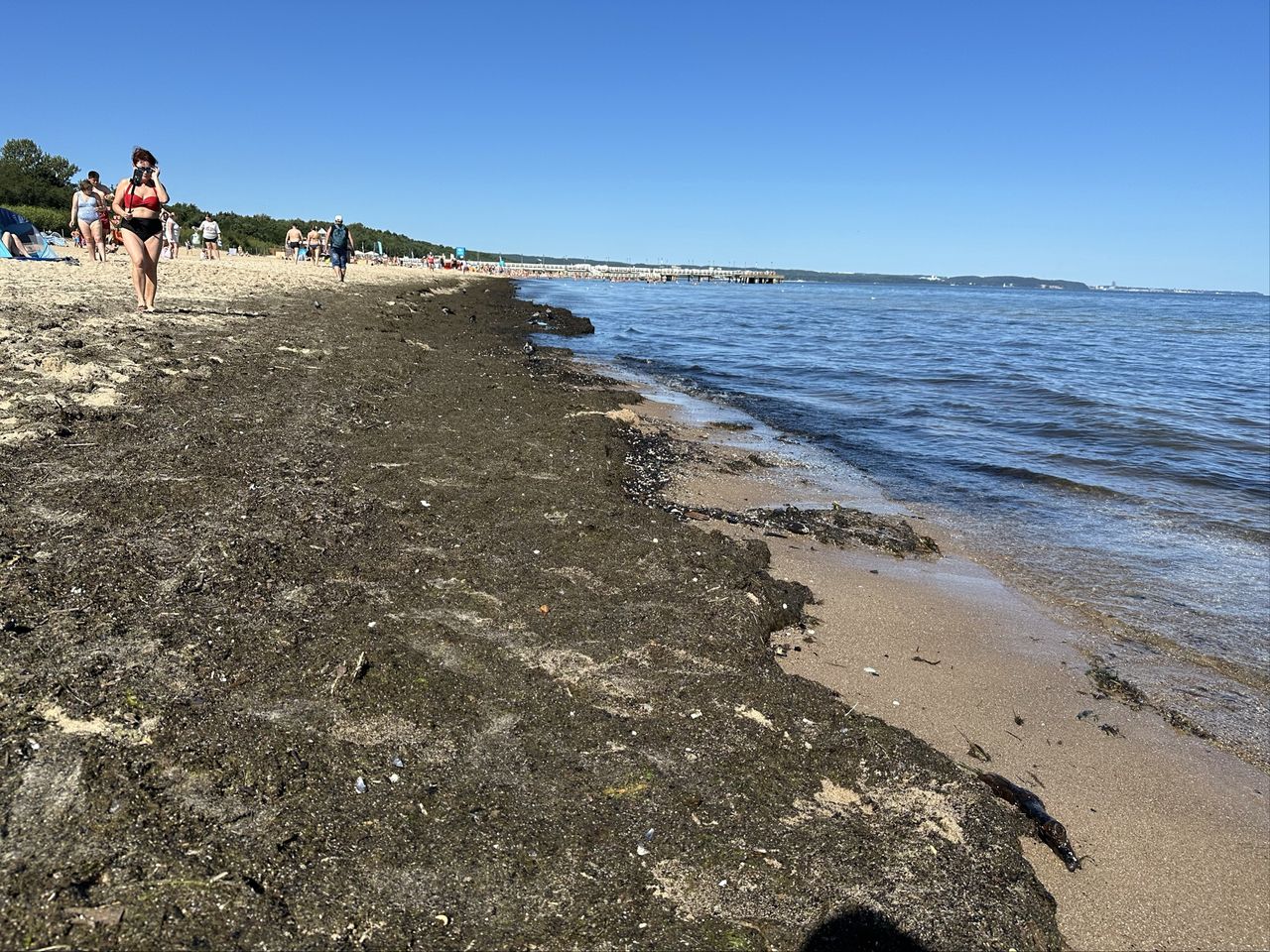 Plaża Brzeźno
