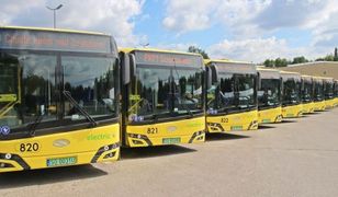 Sosnowiec. Autobusy już na trasach, wyróżniają się kolorem