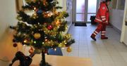 Boże Narodzenie w karetce. Ratownicy mówią o "świątecznym typie pacjenta"