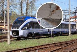 Zabytkowy dworzec podupada. Co z remontem? Mamy stanowisko PKP