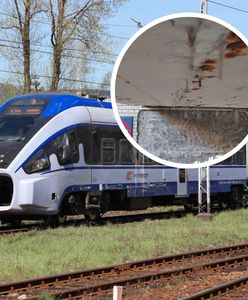 Zabytkowy dworzec podupada. Co z remontem? Mamy stanowisko PKP