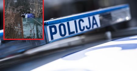 Dramatyczne odkrycie na Mokotowie. Właściciel altany znalazł zwłoki