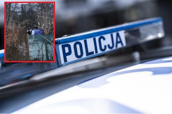 Dramatyczne odkrycie na Mokotowie. Właściciel altany znalazł zwłoki
