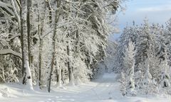 Zima w Polsce. Szok i niedowierzanie