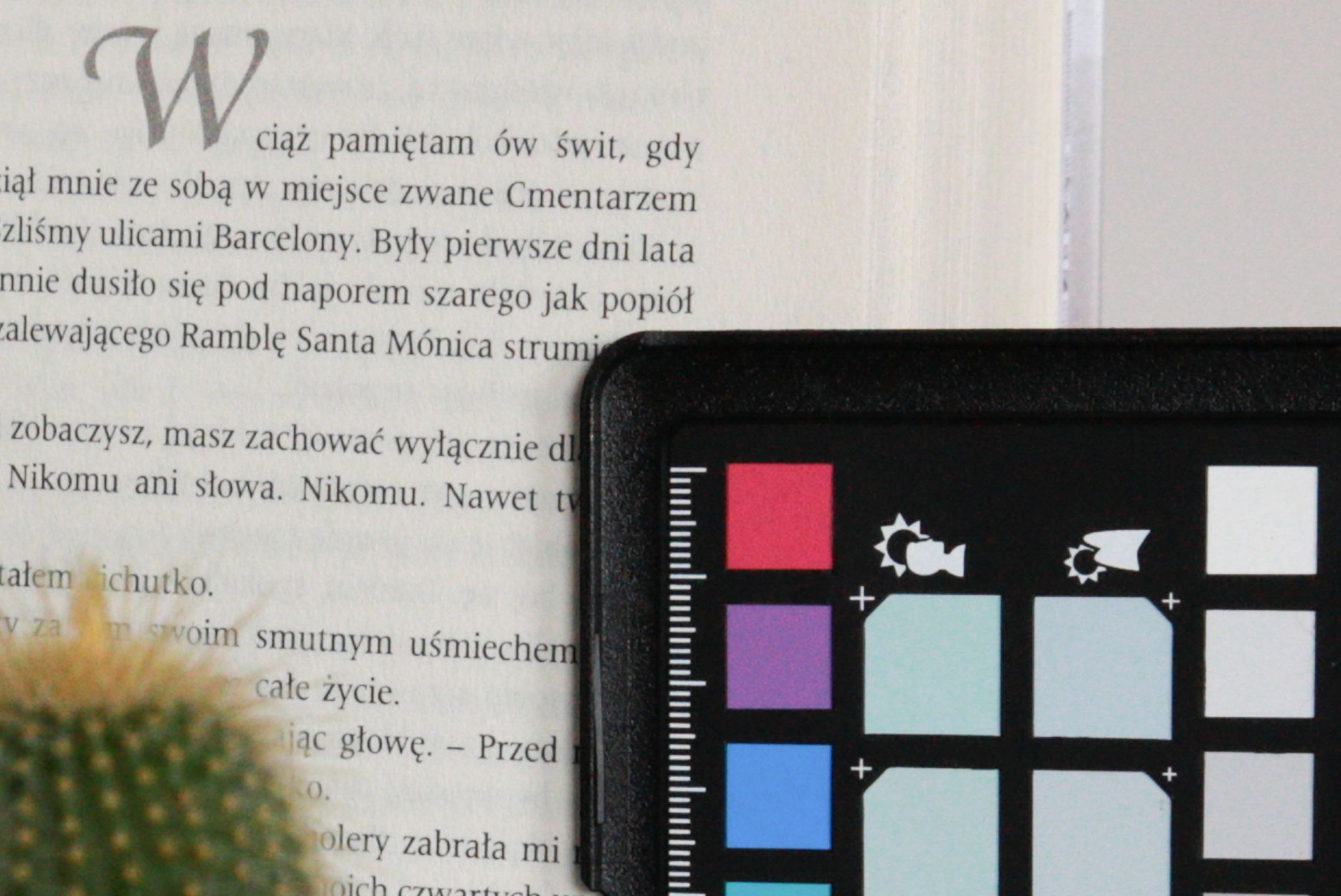 Canon EOS RP - budżetowy aparat wcale nie musi być zły [TEST] 36