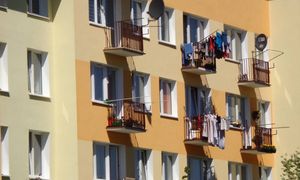 Bloki zamiast mokradeł? Jest decyzja urzędników
