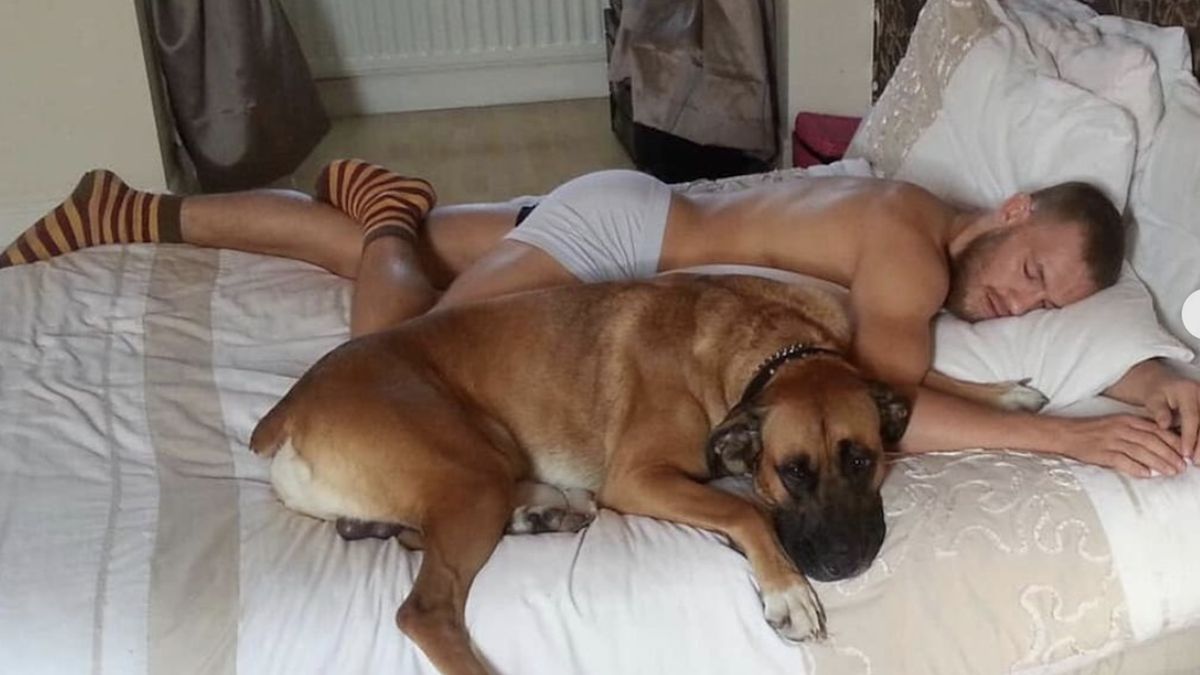 Conor McGregor pożegnał swojego psa Hugo 