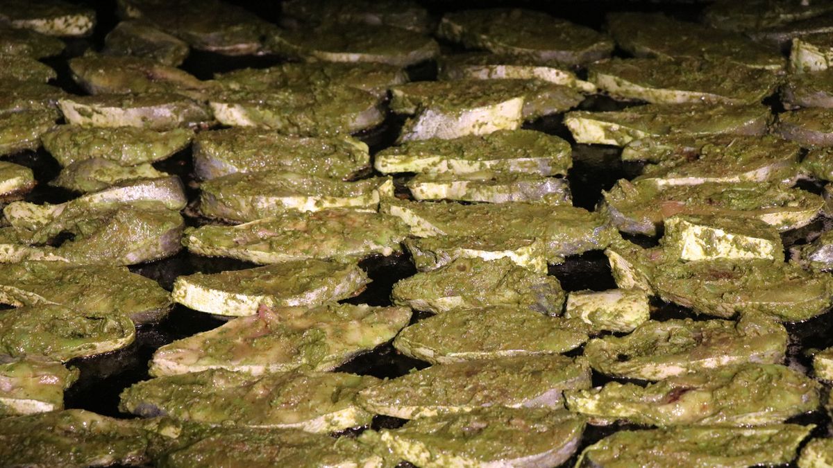 Ryby i warzywa zmniejszają ryzyko raka jelita grubego