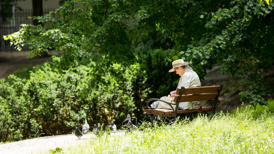 emerytura emeryt emerytka park odpoczynek senior seniorka ławka