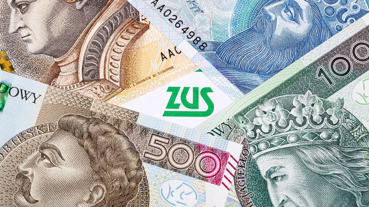 polish, insurance, documents, money, poland, zloty, zus, background, currency, cash, finance, business, bill, wealth, paper, bills, banknote, savings, financial, green, banknotes, economy