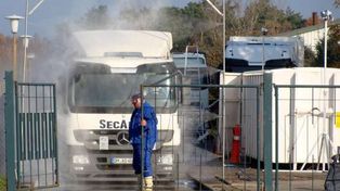 Wielkopolska: Nowe ognisko groźnej grypy ptaków! Weterynaria apeluje do hodowców o czujność