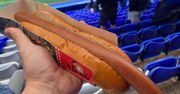Absurdalny hot-dog na stadionie. Ile byś za niego zapłacił?