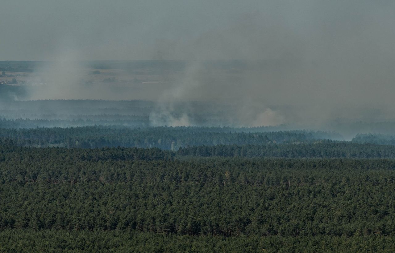 AI ma pomóc w wykrywaniu ognia. 1 z 20 pożarów