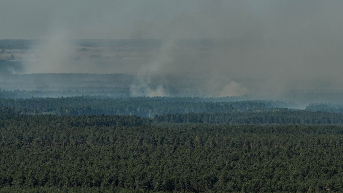 Pożar lasu - zdjęcie ilustracyjne

