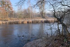 В Польщі похолодання: в другій половині вересня очікуємо морози