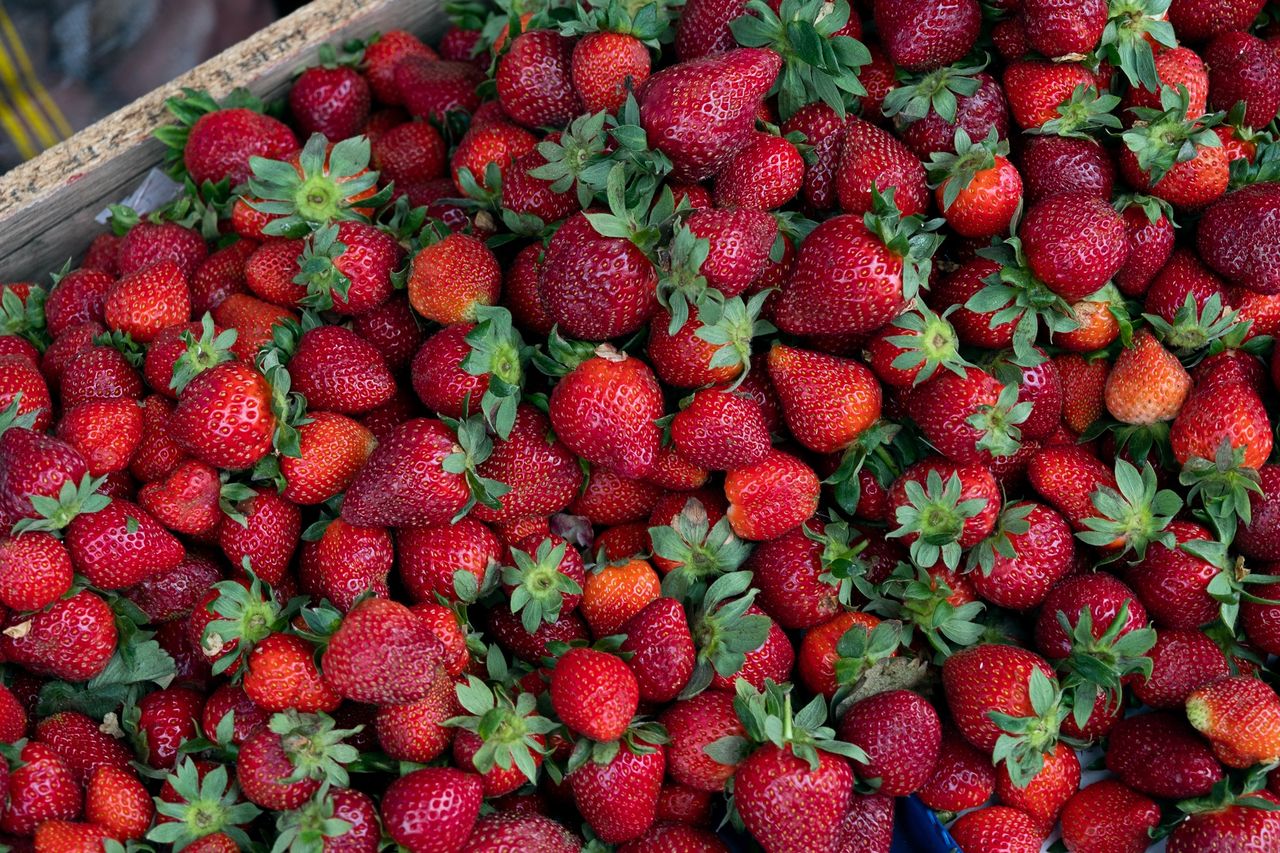 Jak rozpoznać polskie truskawki?