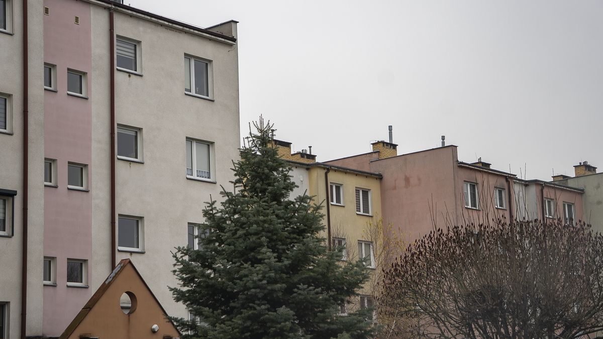 Chodzież