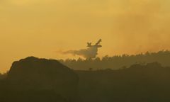 Gigantyczny pożar we Francji. Wywołał go niedogaszony grill