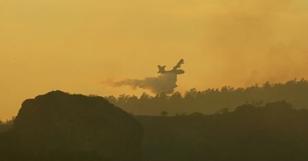 Gigantyczny pożar we Francji. Wywołał go niedogaszony grill