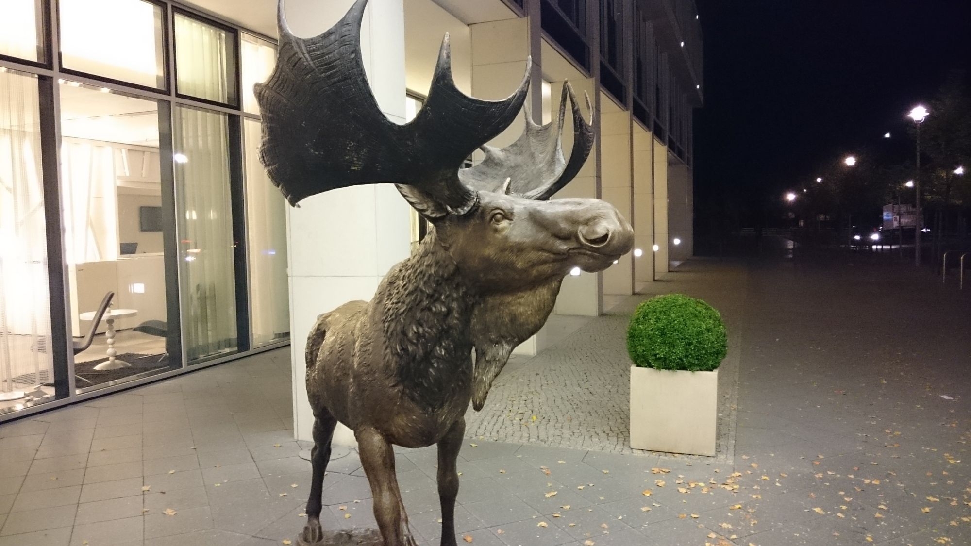 Xperia Z3 czy Lumia 930 - który smartfon robi lepsze zdjęcia? 15