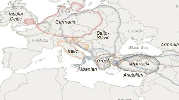 Wiemy, skąd pochodzi język polski. Poznajcie jego drzewo genealogiczne 1