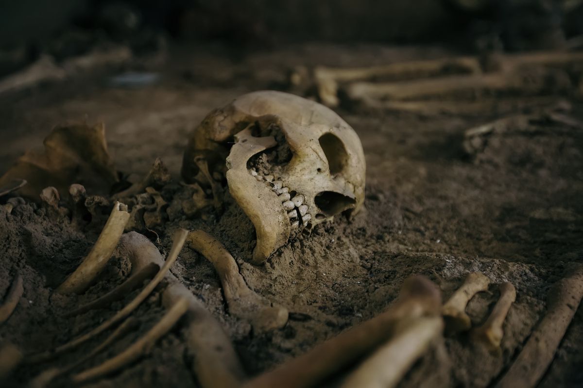 W Strzelcach Opolskich odnaleziono dawny cmentarz, w którym pochowano ponad 70-ciu więźniów 