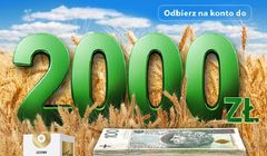 First Line Polska przygotowała promocję dla firmy Innvigo