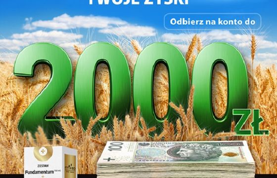 First Line Polska przygotowała promocję dla firmy Innvigo