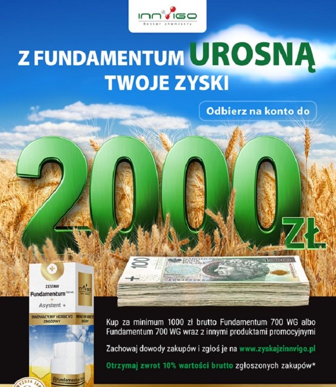 First Line Polska przygotowała promocję dla firmy Innvigo