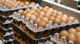 Branża pełna obaw. Niepokojące presje cenowe