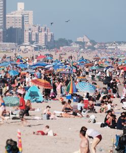 Naukowcy nie wierzą, że cele klimatyczne zostaną osiągnięte. Co to oznacza?