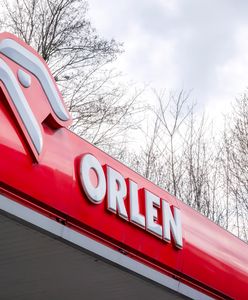 Afera cenowa przed wyborami. Prokuratura odkrywa pierwsze karty