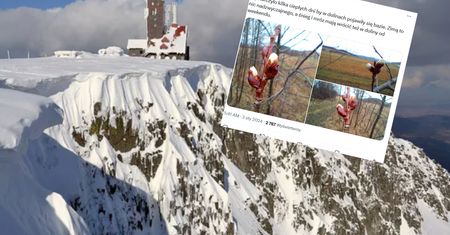 To nie fotomontaż. Pokazali, co się dzieje w Karkonoszach