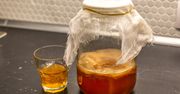 Kombucha – co to jest i po co się ją pije?