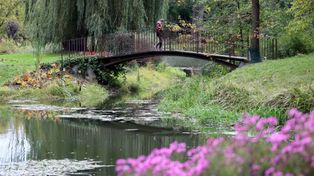 Lublin: Kolorowa jesień w sercu miasta. Wybraliśmy się na spacer po Ogrodzie Botanicznym UMCS