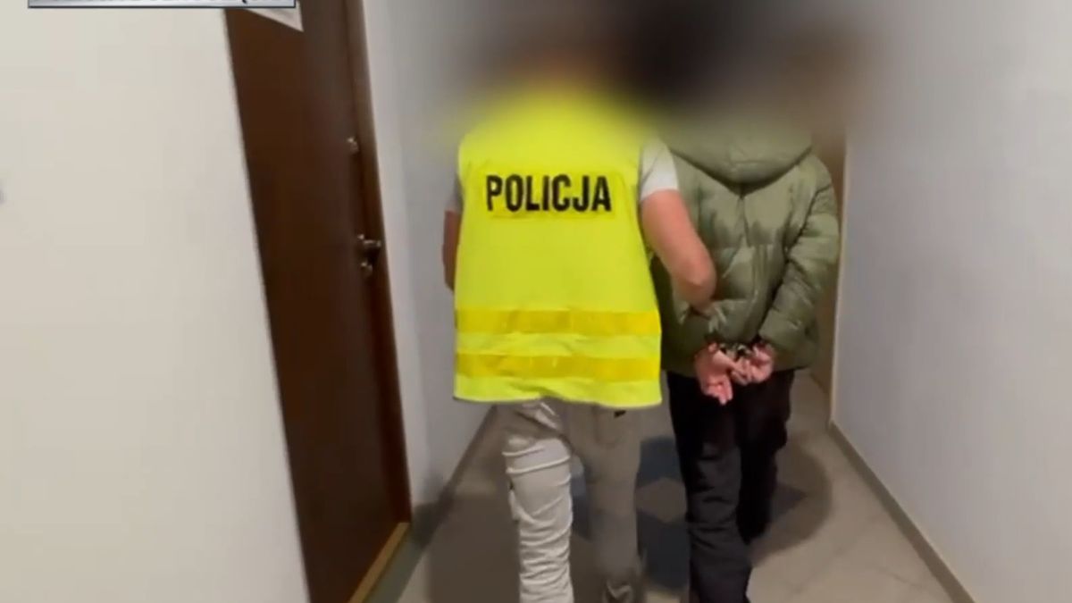 Szabrownik złapany w Kłodzku