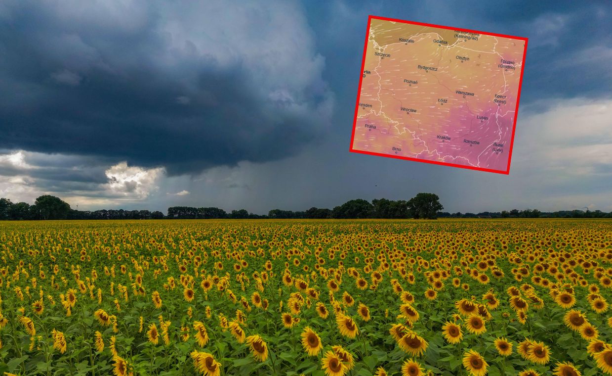 Jeden dzień będzie dosłownie fatalny. Mamy prognozę na długi weekend