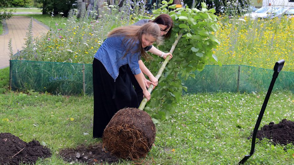 Warszawa. W tym roku wyniki 8. edycji budżetu obywatelskiego zdominowały projekty dotyczące zieleni