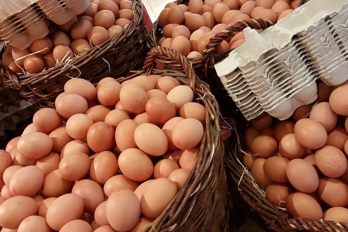 Czy jajka podnoszą poziom cholesterolu?