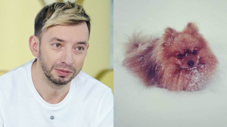 Pies Adama Konkola został postrzelony